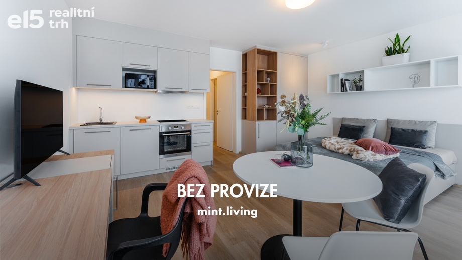 Pronájem bytu 1+kk 40 m², Plzeň - Skvrňany