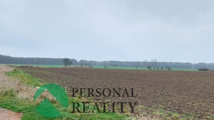 Prodej pole 3 093 m², Lodín