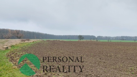 Prodej pole 3 093 m², Lodín