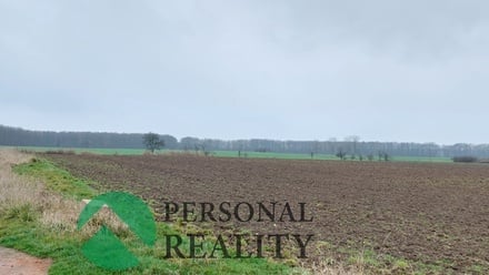 Pronájem pole 3 093 m², Lodín