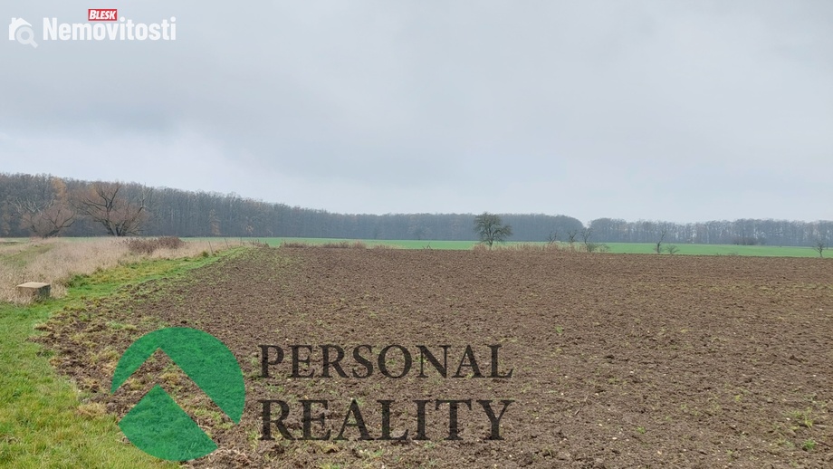 Pronájem pole 3 093 m², Lodín