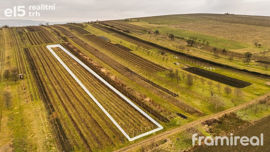 Prodej sady a vinice, 3 587 m² - Blatnice pod Svatým Antonínkem