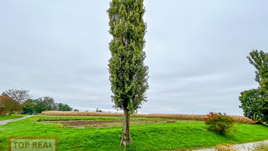 Prodej stavebního pozemku 861 m², Přerov V-Dluhonice