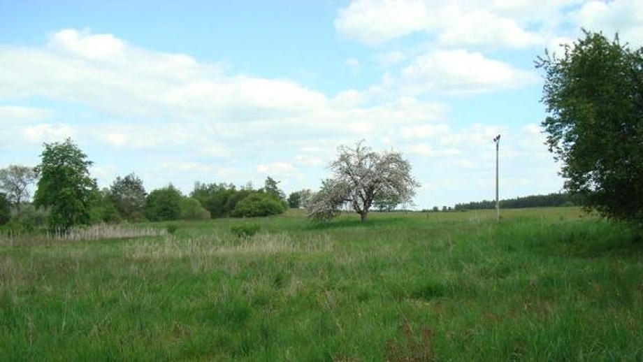Prodej pozemky pro bydlení, 1 054 m² - Čistá - Lhota