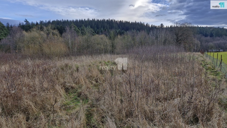 Prodej stavebního pozemku 2 983 m², Kynšperk nad Ohří - Zlatá