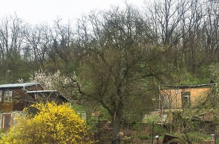 Prodej stavebního pozemku 370 m², Brno-Ivanovice