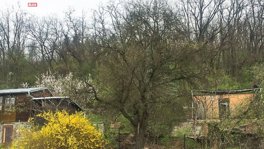 Prodej stavebního pozemku 370 m², Brno-Ivanovice