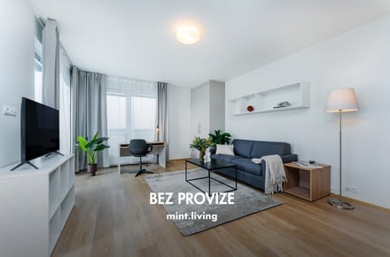 Pronájem bytu 3+kk 62 m², Plzeň - Skvrňany