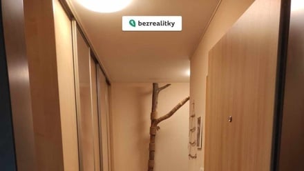 Prodej bytu 3+kk 81 m², České Budějovice 3