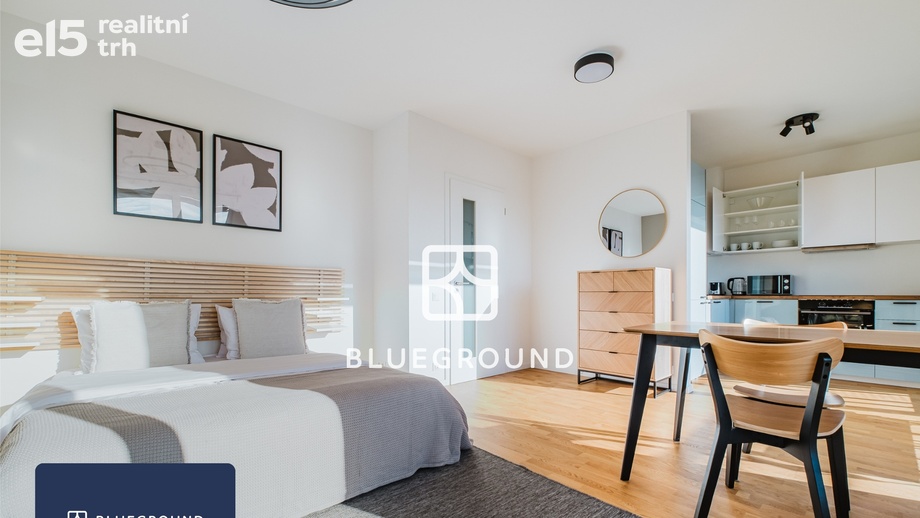 Pronájem bytu 1+kk 40 m², Praha - Žižkov