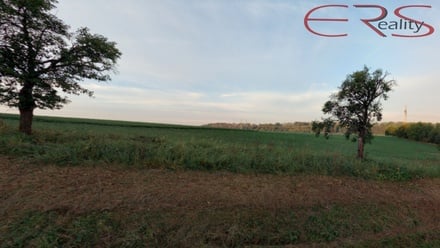 Prodej louky 16 112 m², Rovensko pod Troskami