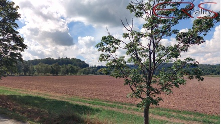 Prodej louky 16 112 m², Rovensko pod Troskami