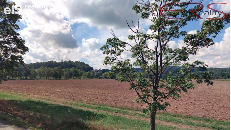 Prodej pozemky - trvalý travní porost, 16 112 m² - Rovensko pod Troskami