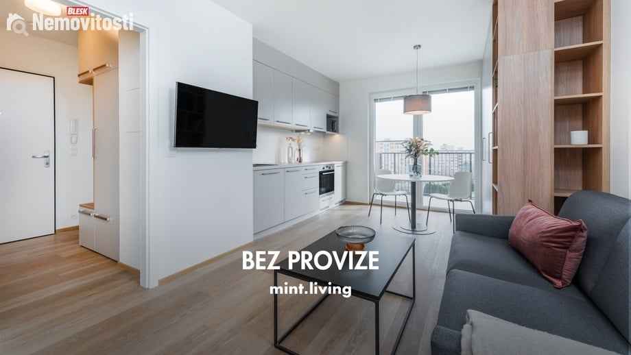 Pronájem bytu 1+kk 39 m², Plzeň - Skvrňany