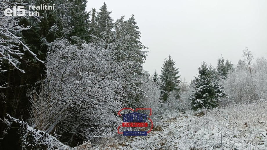 Prodej lesy, 35 113 m² - Kolinec - Buršice