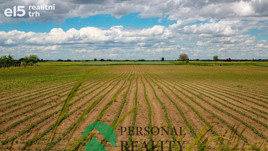 Prodej zemědělská půda, 32 894 m² - Seč