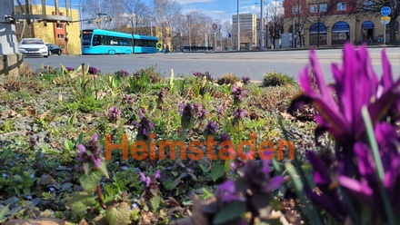 Pronájem obchodního prostoru 126 m², Ostrava-Poruba - Ostrava - Poruba