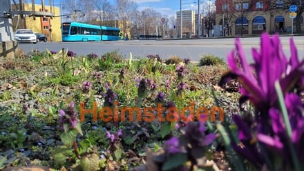 Pronájem kanceláře 126 m², Ostrava-Poruba - Ostrava - Poruba