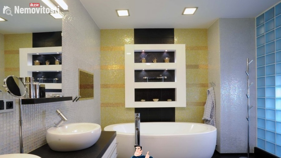 Prodej bytu 2+1 87 m², Brno - Trnitá