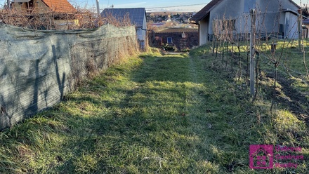 Prodej sadu / vinice 2 567 m², Bořetice