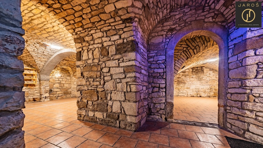 Pronájem ostatní komerční nemovitosti, 100 m² - Slaný