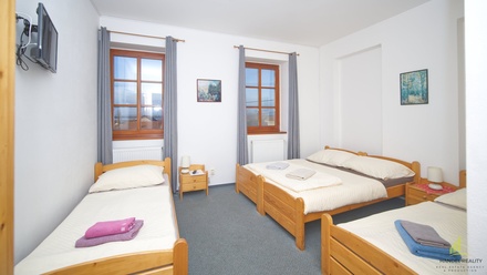 Prodej nemovitosti pro ubytování 350 m², Horní Věstonice