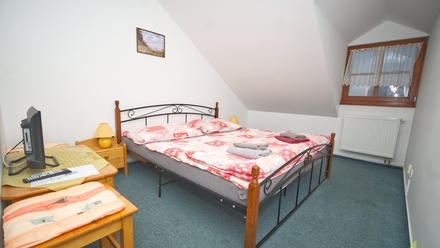 Prodej nemovitosti pro ubytování 350 m², Horní Věstonice