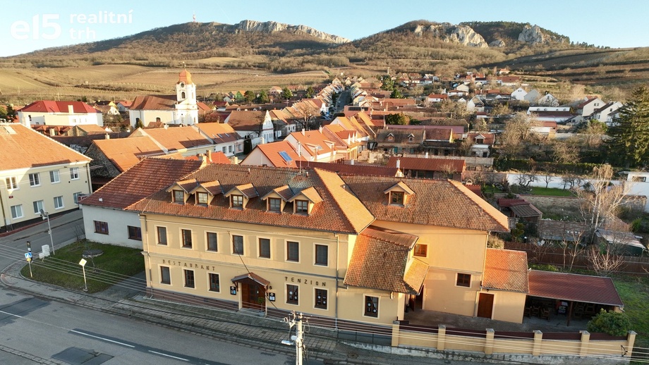 Prodej nemovitosti pro ubytování 350 m², Horní Věstonice