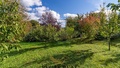 Prodej zahrady 1 212 m², Obora