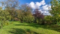 Prodej zahrady 1 212 m², Obora