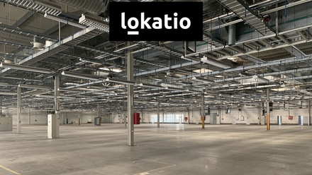 Pronájem skladu 16 000 m², Plzeň