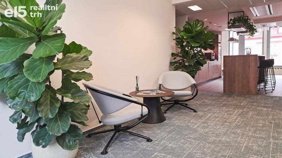 Pronájem virtuální kanceláře 110 m², Praha - Nusle