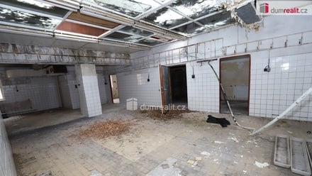 Prodej komerční nemovitosti 600 m², Karlovy Vary