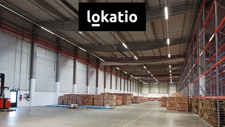 Pronájem skladu 6 776 m², Štěnovice