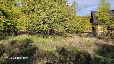 Prodej stavebního pozemku 1 161 m², Koloveč - Zichov