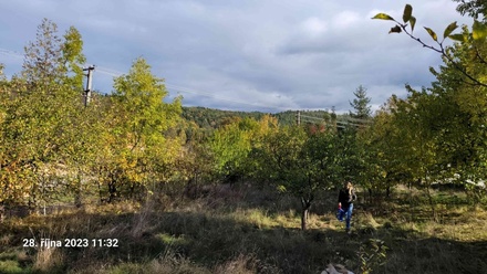 Prodej stavebního pozemku 1 161 m², Koloveč - Zichov