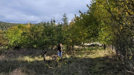 Prodej stavebního pozemku 1 161 m², Koloveč - Zichov