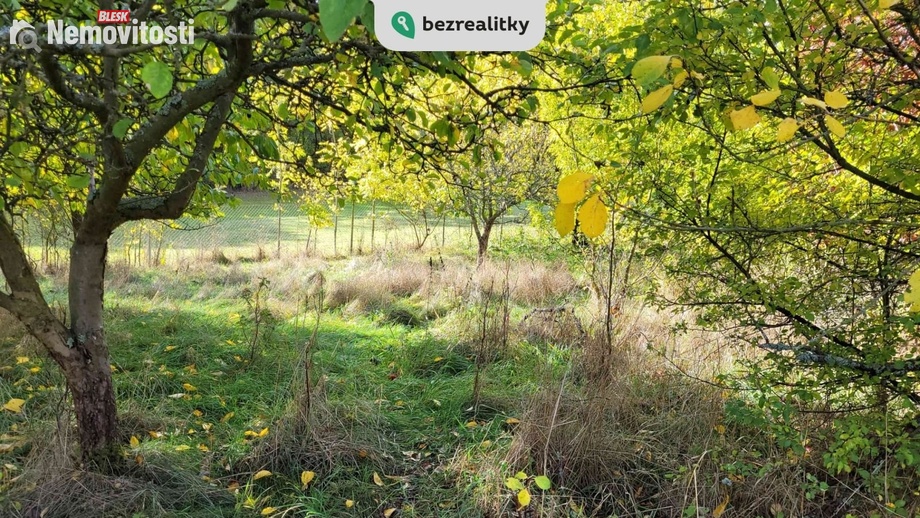 Prodej stavebního pozemku 1 161 m², Koloveč - Zichov