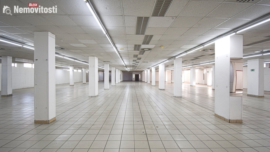 Pronájem obchodního prostoru 1 600 m², Plzeň - Lobzy