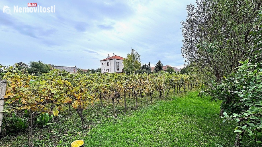 Pronájem zahrady 353 m², Jaroslavice