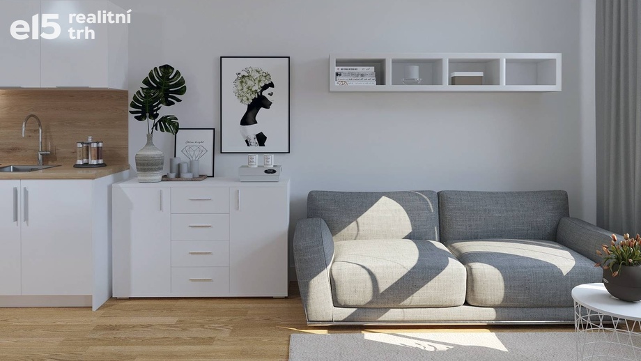 Prodej bytu 1+kk 38 m², Praha - Nové Město