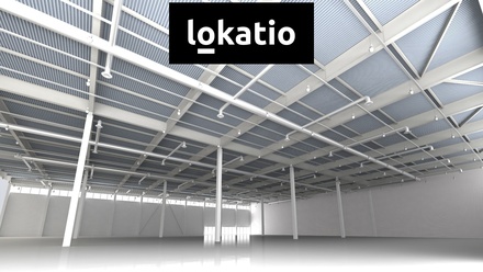 Pronájem výrobního prostoru 3 355 m², Hustopeče