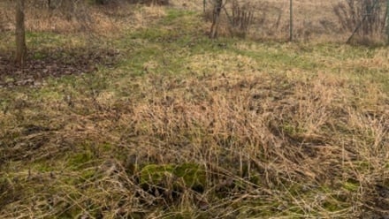 Prodej zahrady 483 m², Tachov