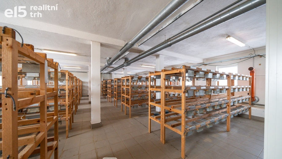 Pronájem výrobního prostoru 200 m², Moravské Budějovice - Vranín