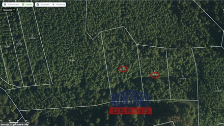 Prodej lesa 25 593 m², Huslenky