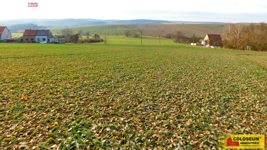 Prodej stavebního pozemku 3 990 m², Koryčany - Blišice