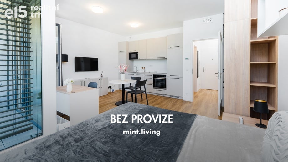 Pronájem bytu 1+kk 42 m², Praha - Vysočany
