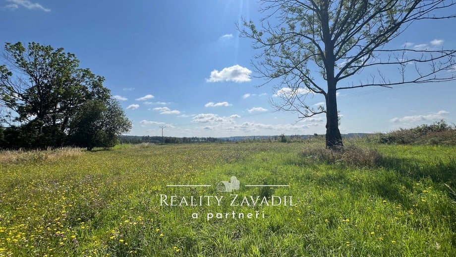 Prodej pozemky pro bydlení, 6 335 m² - Seč - Prosíčka