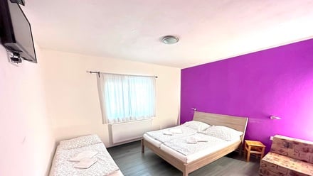 Prodej nemovitosti pro ubytování 330 m², Mikulov