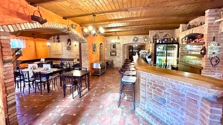 Prodej nemovitosti pro ubytování 334 m², Mikulov